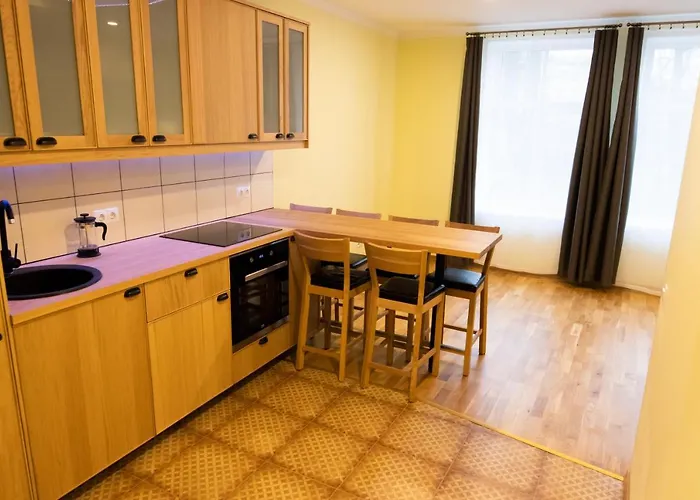 Hot Ernestines Iela 7-7 Enjoy The Feel Of And History! * Riga