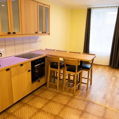 Hot Ernestines Iela 7-7 Enjoy The Feel Of And History! * Riga